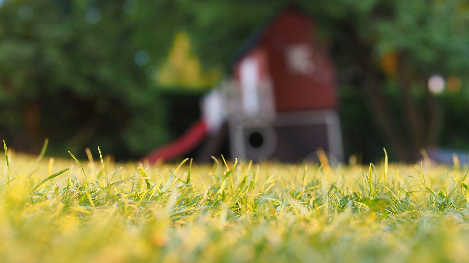 Low-Maintenance Backyard Ideas for Busy Homeowners 