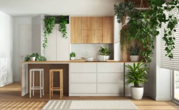 Best Eco-Friendly Kitchen Design