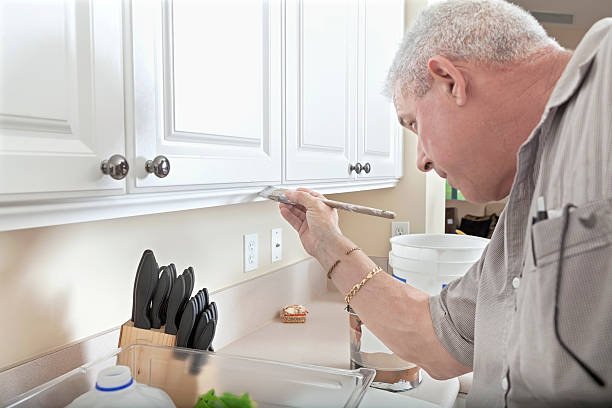 Reinstalling Cabinets and Finishing Touches